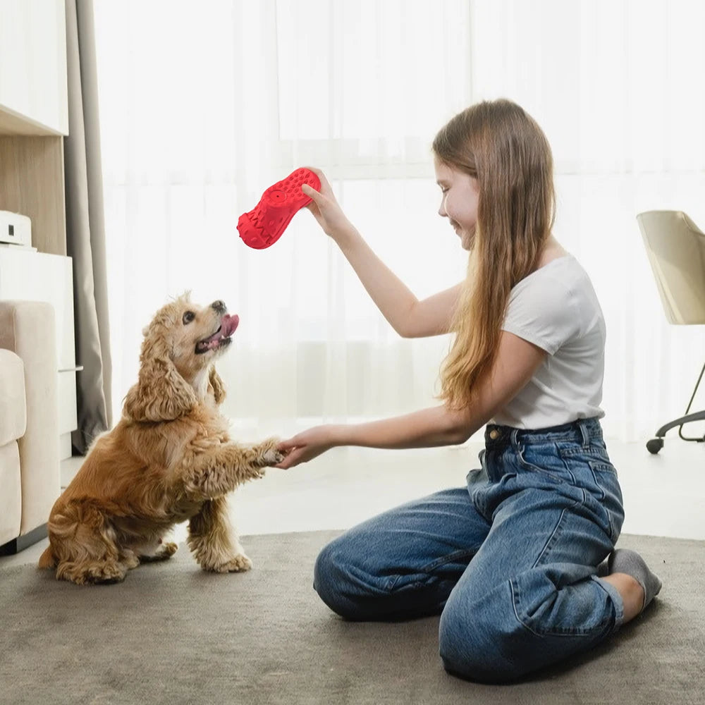 Indestructible Dog Chew Toys