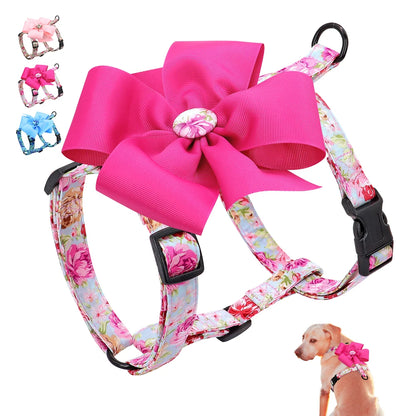 Cute Small Animal Harnesses