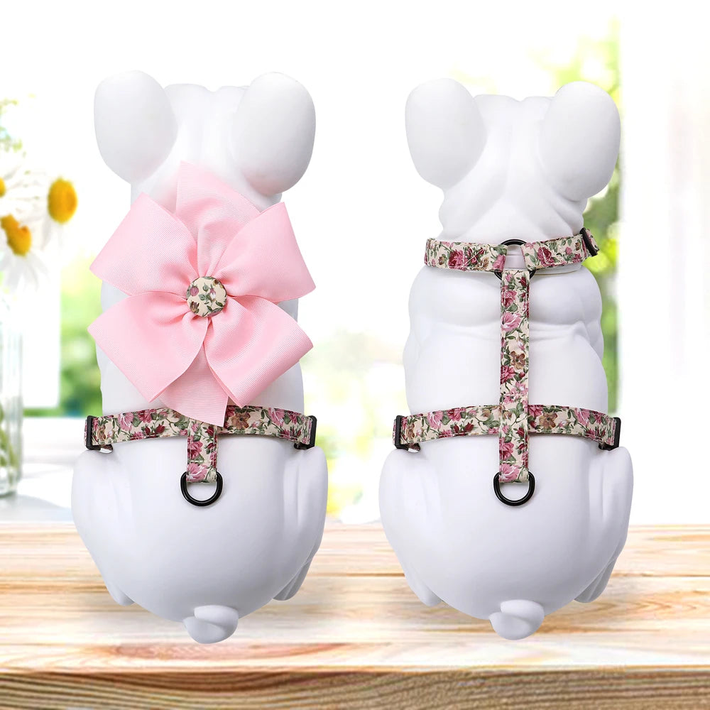 Cute Small Animal Harnesses