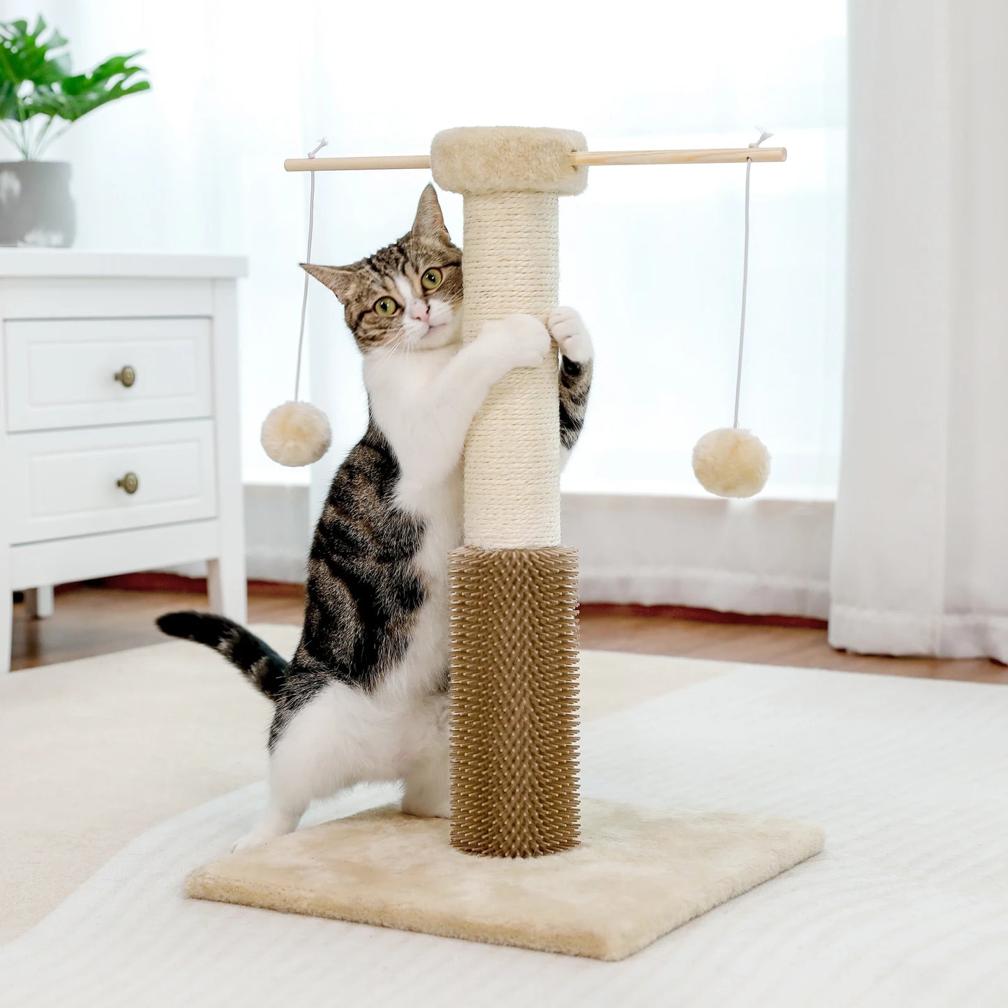 Small Cat Scratching Post with Fluffy Balls