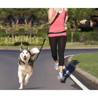 Hands Free Bungee Harness For Jogging and Waist Belt