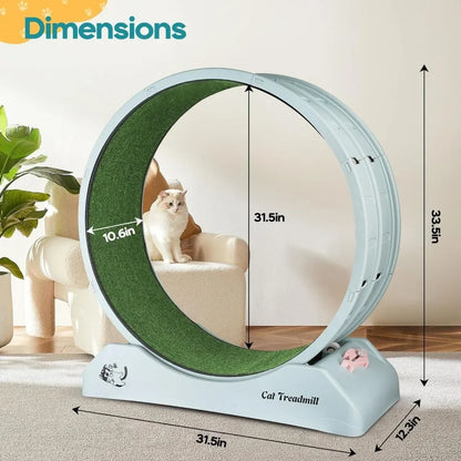 Cat Exercise Wheel