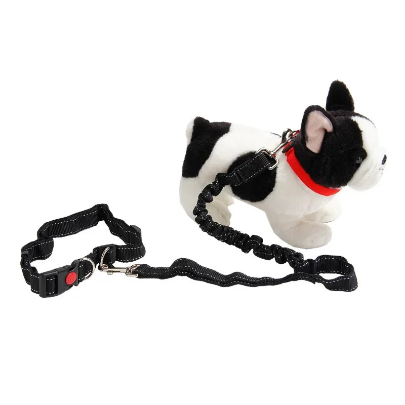 Hands Free Bungee Harness For Jogging and Waist Belt