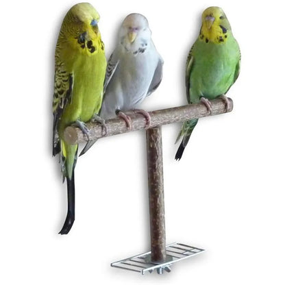 T-shaped Secure Bird Perch