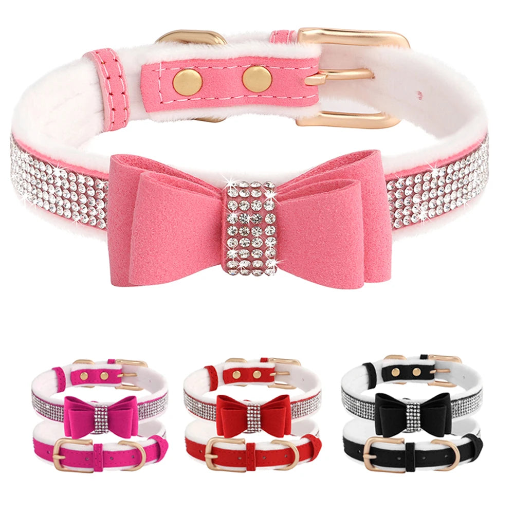 Crystal Small Animal Collars