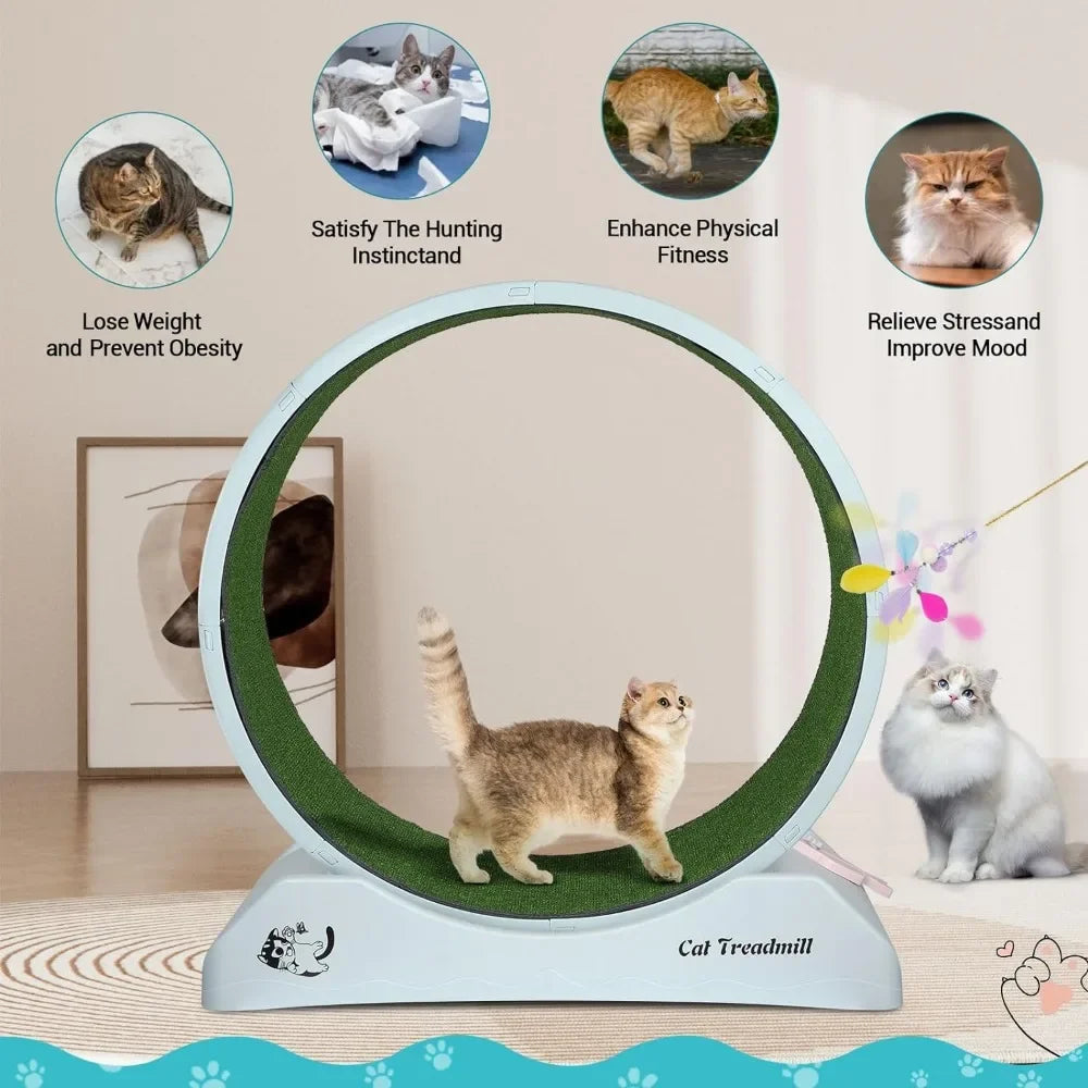 Cat Exercise Wheel