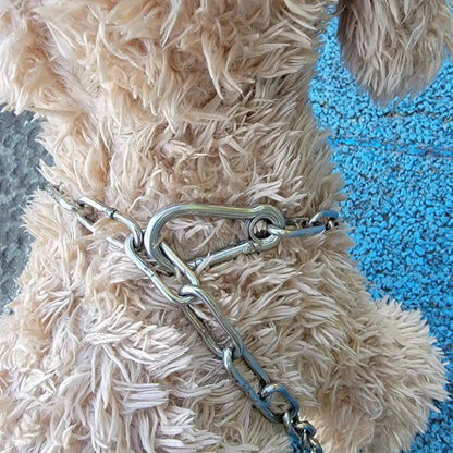 Stainless Steel Dog Leash W/ Double End