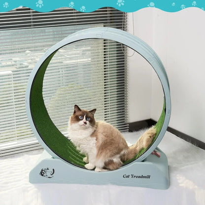 Cat Exercise Wheel