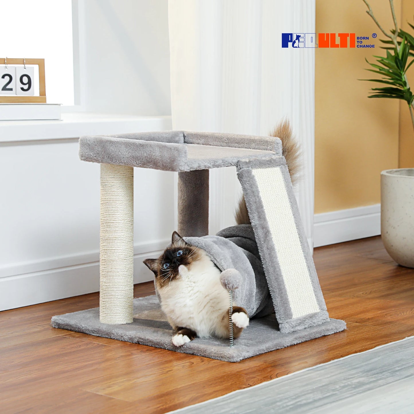 Small Cat Tree with Play Tunnel