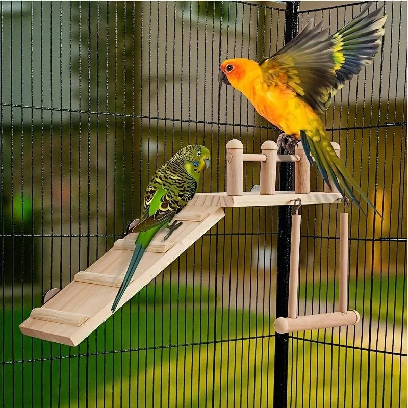 Bird Cage Platform & Swing