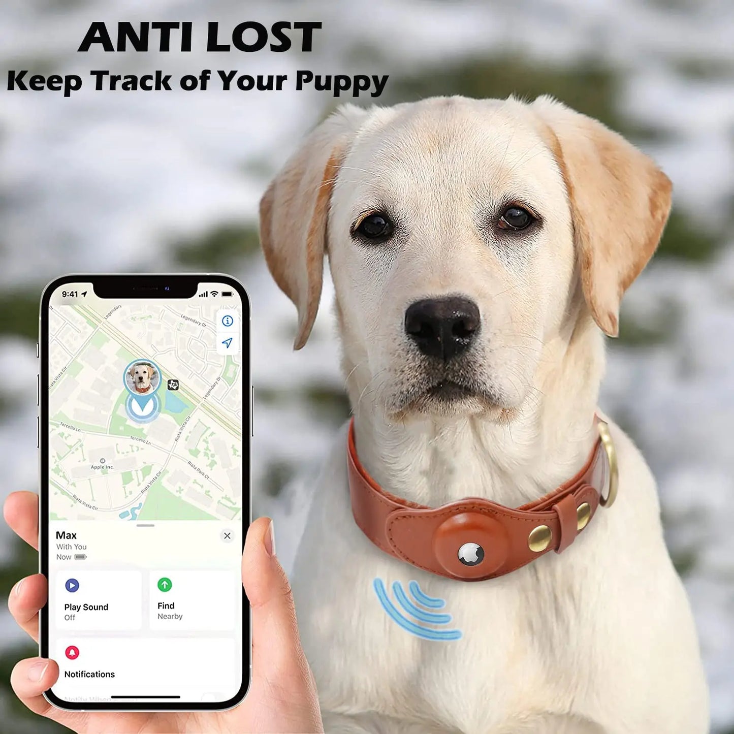 Leather Anti-Lost Dog Collar With Apple Airtag holder