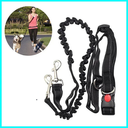 Hands Free Bungee Harness For Jogging and Waist Belt