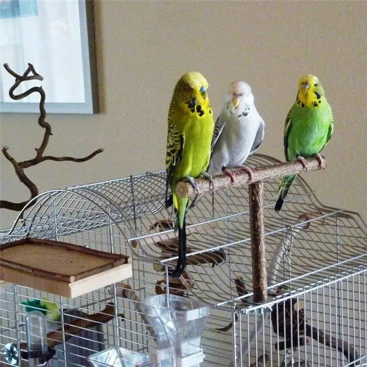 T-shaped Secure Bird Perch