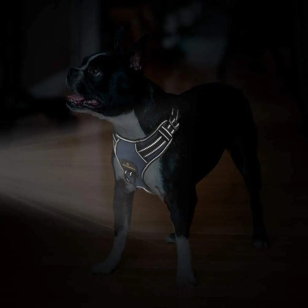 Adjustable Reflective Dog Harness