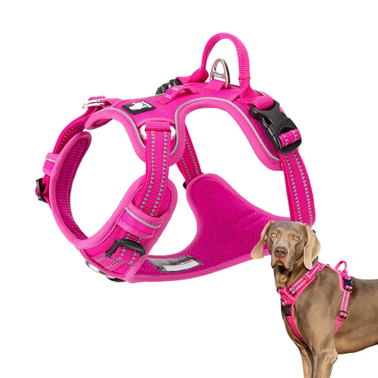 Training Dog Harness